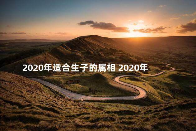 2020年适合生子的属相 2020年不适合生子的属相